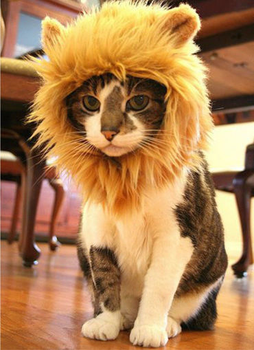 Picture of S Pet Dog Cat Artificial Lion Mane Wig Halloween Costume