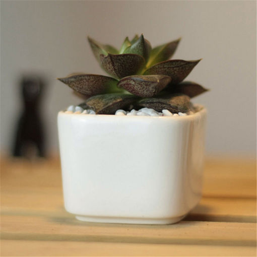 Picture of Outdoor White Ceramic Planter Mini Flower Pot Succulent Plants Square Garden Patio Desk Decor
