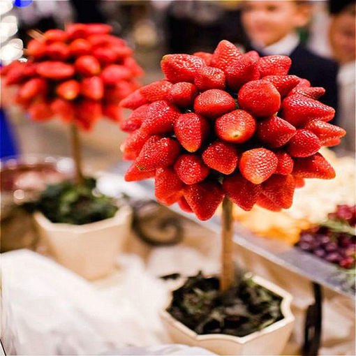 Picture of Egrow 100 Pcs/Pack Strawberry Tree Seeds Rare Fruit Strawberry Bonsai Seed Garden DIY Planting