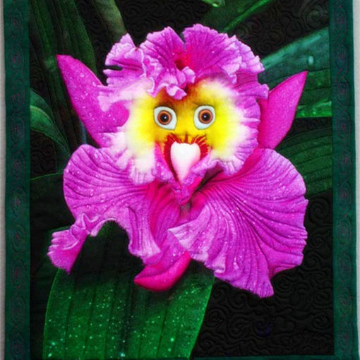 Picture of Egrow 100Pcs/Pack Monkey Face Orchid Seeds Home Garden Bonsai Plants Flowers