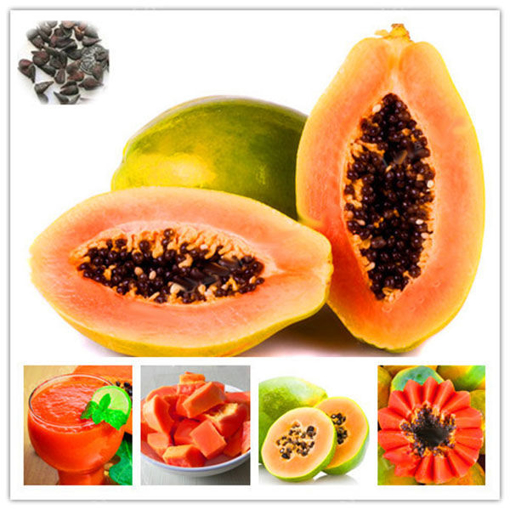 Picture of Egrow 15Pcs/Pack Carica Papaya Seeds Organic Edible Fruit Sweet Papaya Bonsai Outdoor Tree Seed