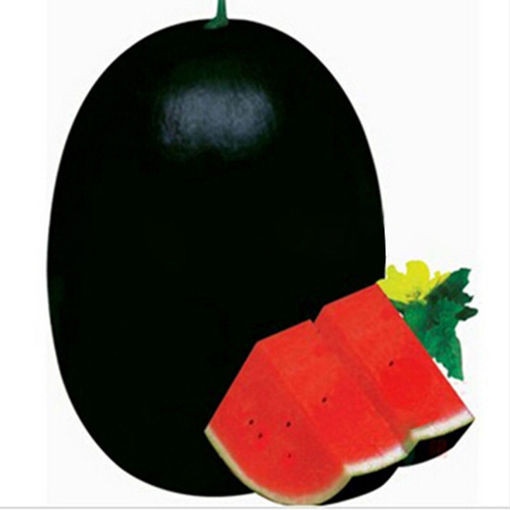 Immagine di Egrow 30Pcs Giant Watermelon Seeds Black Tyrant King Super Sweet Watermelon Seeds Garden Fruit