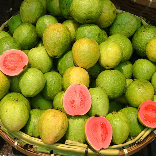 Immagine di Egrow 30 Pcs/Pack Guava Seeds Tropical Sweet Fruit Tree Plants Seed for Garden Balcony Courtyard