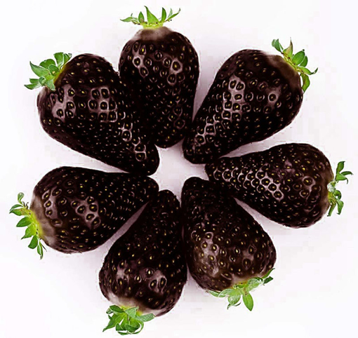 Immagine di Egrow 200 PCS Black Strawberry Seeds Fresh Exotic Tasty Fruit Potted Seed Garden Bonsai Plant