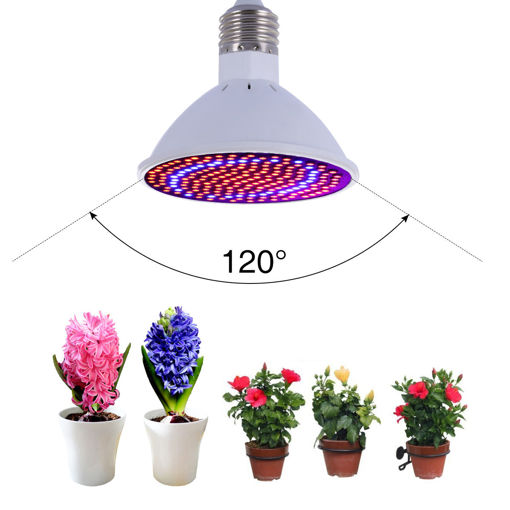 Picture of 20W E27 166 Red 34 Blue LED Grow Light Plant Lamp Bulb Garden Greenhouse Plant Seeding Light