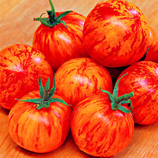 Picture of Egrow 100Pcs/Pack Red Green Yellow Tomato Seed Greenhouse Potted Organic Vegetable& Fruit Seeds