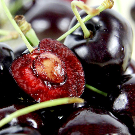 Immagine di Egrow 20Pcs/Pack Black Red Cherry Seeds Balcony Organic Fruits Seed Potted Bonsai Plant