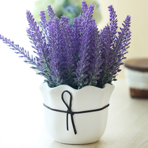 Picture of Egrow 200Pcs Provence Lavender Seeds Fragrant Organic Flower Seeds Home Garden Bonsai Plant