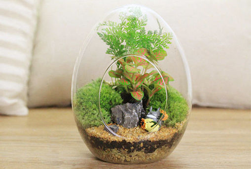 Picture of Egg Shaped DIY Moss Micro Landscape Glass Bottle Succulent Plants Vase Home Decoration