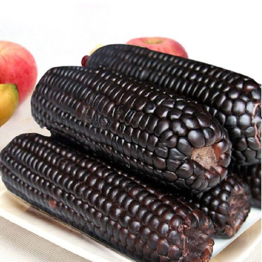 Immagine di Egrow 30Pcs/Pack Black Waxy Corn Seeds Gardening Farm Vegetable Maize Black Sticky Corn Seeds