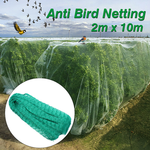 Picture of Gardening Anti Bird Net Protect Tree Net Fruit Crop Plants Pond Netting Mesh 2m x 10m