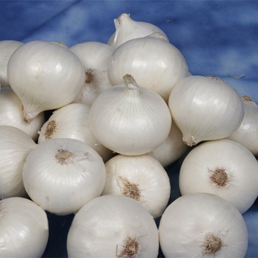 Immagine di Egrow 200 Pcs/Pack White Onion Seeds Kitchen Seasoner Organic Vegetable Seed Garden DIY Plants